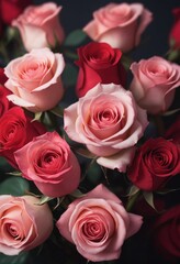 Closeup of roses concept for Valentine's Day. Selective focus