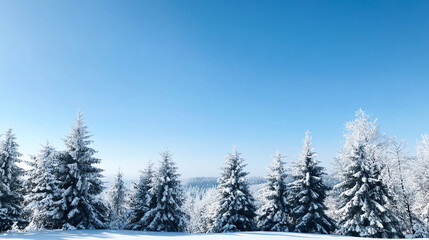 Fototapeta premium Snowy landscape with frosted trees under a clear blue sky, evoking winter serenity.