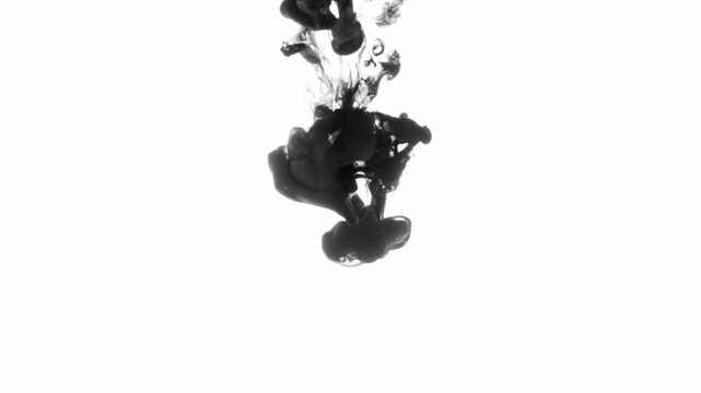 Superimposition of a drop of black ink falling on clear water
