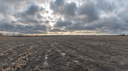Panoramic view of wavy black earth agricultural fields under a cloudy sky, featuring a bright field road leading through the landscape, agriculture, rural scenery, nature.