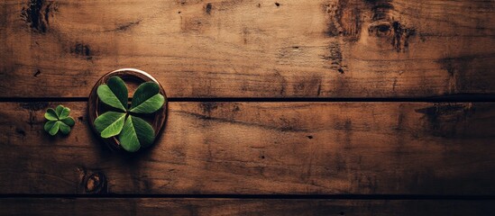 Horseshoe and four leaf clover arrangement on rustic wood backdrop symbolizing luck and prosperity in nature inspired decor