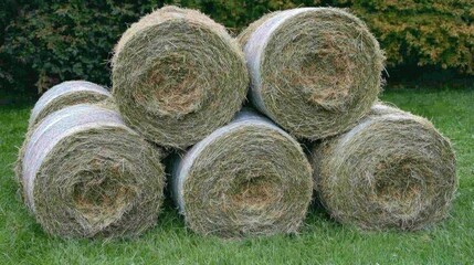 Storage of hay bales in a lush green agricultural field showcasing traditional farming practices and rural landscape.
