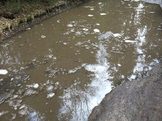 pit with dirty brown water in the forest