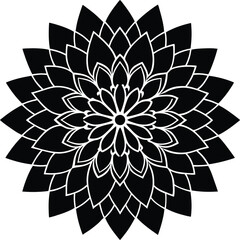 black and white flower