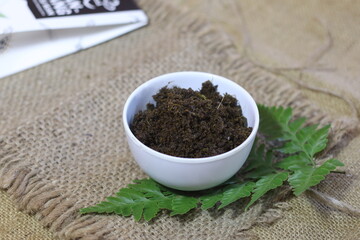 Rendang Paku is one of traditional from West Sumatera Indonesia