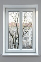 White window frame, bare branches, building view.