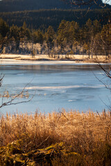 frozen lake and nature
