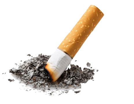 stubbed out cigarette isolated on white background, cut out