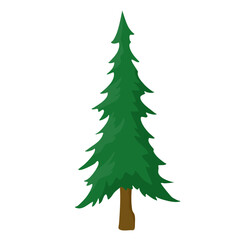 Winter Pine Tree Hand drawn 