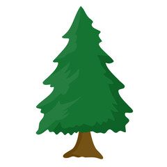 Winter Pine Tree Hand drawn 