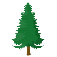 Winter Pine Tree Hand drawn 