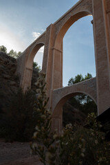 Puente de cinco ojos