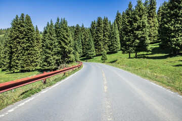 Empty asphalt road and forest with mountains landscape in Xinjiang