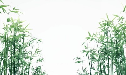 Naklejka premium Green bamboo stalks and leaves frame white space.