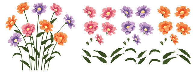 Daisy colorful flower background.Eps 10 vector.
