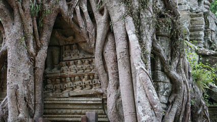 Angkor Wat Siem Reap Cambodia temple ruins and sculptures