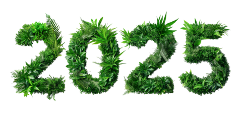 eco number 2025 creative design, greenery numbers for new year, earth day. eco poster decoration, cutout PNG