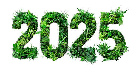 greenery numbers for new year, eco-friendly number 2025 creative design, earth day. eco poster decoration, cutout PNG