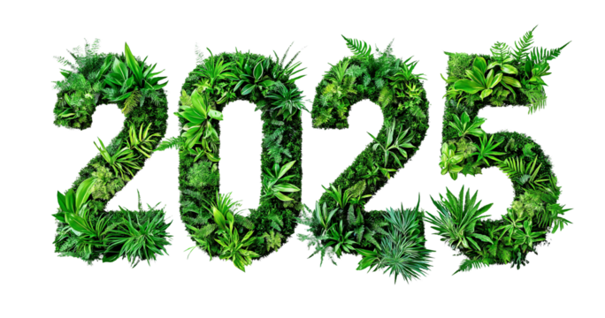 greenery numbers for new year, eco-friendly number 2025 creative design, earth day. eco poster decoration, cutout PNG