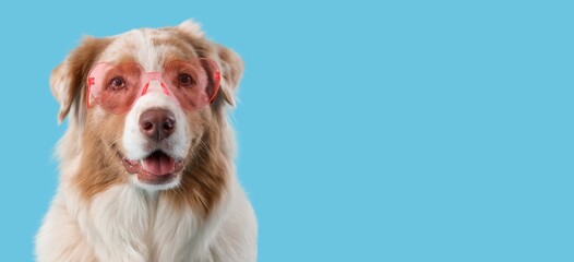 Cute dog wearing heart-shaped glasses on light blue background with space for text. Valentine's Day...