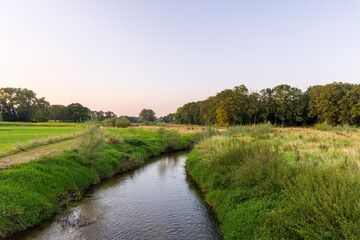 Rice field rural with colorful of sky in twilight, Green field rural countryside