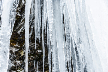 Ice waterfall on the rock at Hehuanshan Forest Recreation Area in Nantou, Taiwan.