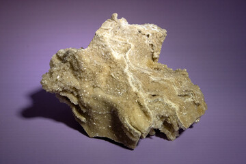 Ancient old petrified wood, excavation, minerals, as nice background Narrow focus line, shallow depth of field macro