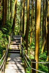Fototapeta premium View of the wooden stairs path in the Sun-Link-Sea Forest Recreation Area in Nantou, Taiwan.