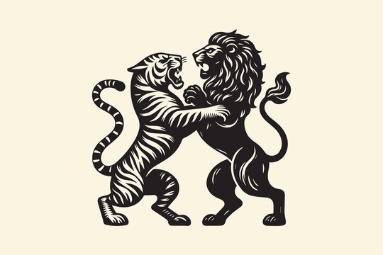 Lion and a tiger standing on their hind legs in an intense fight. Black vintage engraving illustration line art, isolated, cut out, tattoo, print, embelm