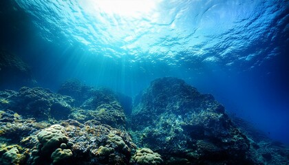 Obraz premium 海底から水面を見ている画像