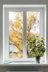 White window, autumn leaves, potted plant, bright sunlight.