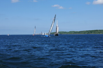 Segelschiffe in der Kieler Förde zur Kieler Woche