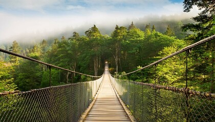 suspension bridge in the mountains