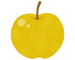 和梨の正面イラスト1