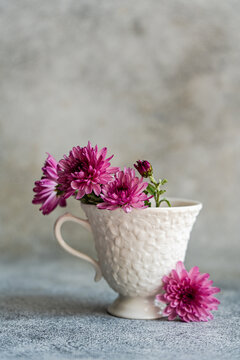 Pink asters in a textured ceramic mug for rustic decor