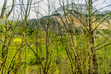 Ordesa and Monte Perdido National Park - Aragonese Pyrenees