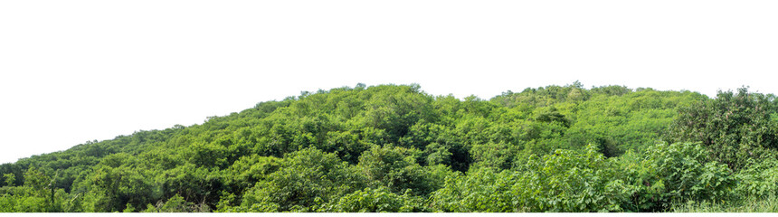 Beautiful Mountain isolated on transparent background with clipping path and alpha channel, high resolution.