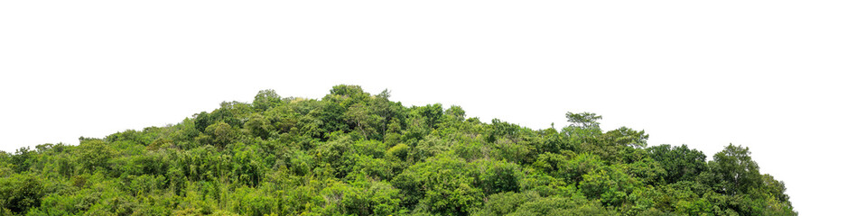 Beautiful Mountain isolated on transparent background with clipping path and alpha channel, high resolution.