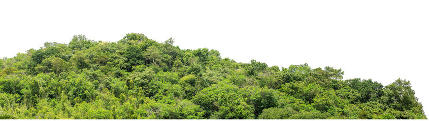 Beautiful Mountain isolated on transparent background with clipping path and alpha channel, high resolution.