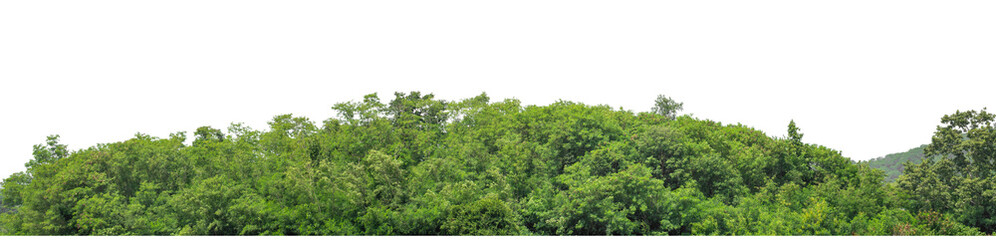 Obraz premium Isolated Mountain on transparent background with clipping path and alpha channel, high resolution.