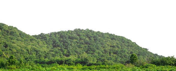 Beautiful Mountain isolated on transparent background with clipping path and alpha channel, high resolution.