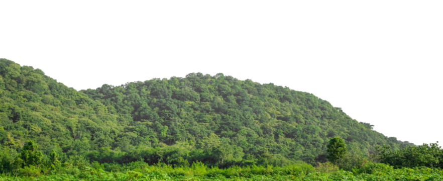 Beautiful Mountain isolated on transparent background with clipping path and alpha channel, high resolution.