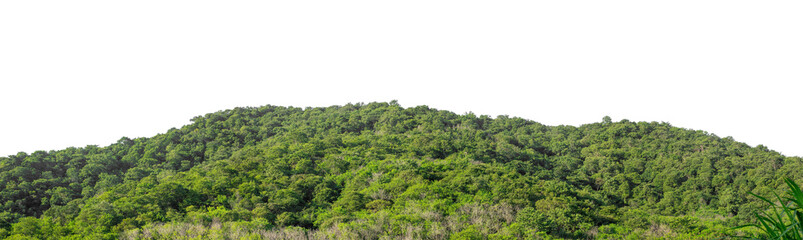 Fototapeta premium Beautiful Mountain isolated on transparent background with clipping path and alpha channel, high resolution.