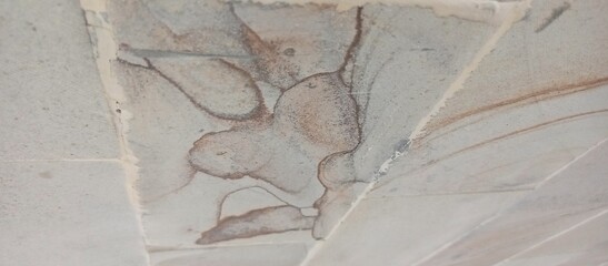 walls made of beautiful natural stone