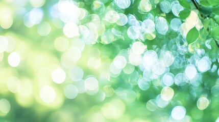 Fototapeta premium Abstract pastel bokeh background with light green and white colors