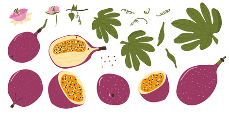 Passion fruits set. Vector tropical leaves, flower and berry collection. Hand drawn flat maracuja collection illustration isolated on white background. Passionfruit half and whole.