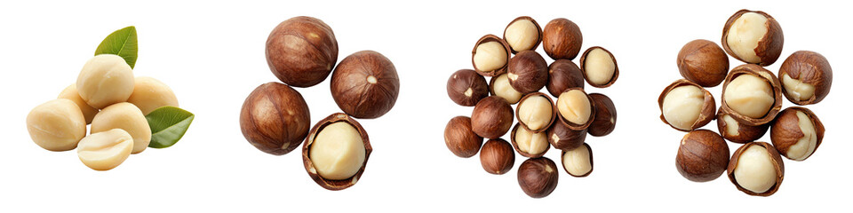 Obraz premium Raw Macadamia Nuts Snack Elements Displayed on a Clean White Background Healthy Nutritious and Flavorful Whole Macadamia Nuts with Shells Kernels and Green Leaves Captured in High Detail