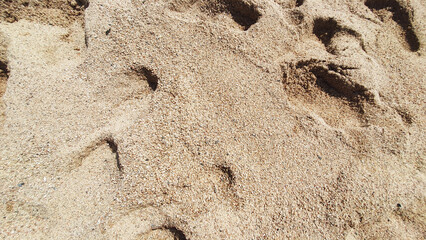 Beautiful sand in the summer day. Footprint on the sand near a sea.