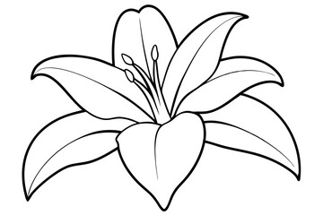 A simple White Lily line art vector white background
