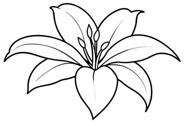 A simple White Lily line art vector white background